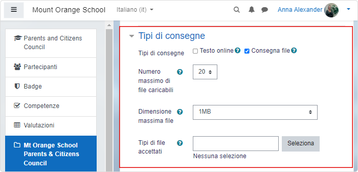 Impostazioni tipi di consegne in un manuale Moodle